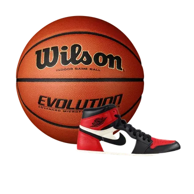 Studio product photograph of pro leather basketball and tempered glass hoop on transparent background for basketball academy web design and AAU club branding