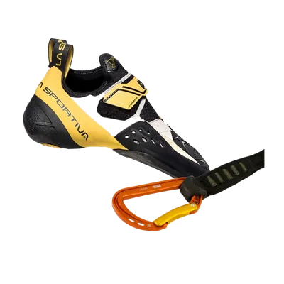 Studio product photograph of anodized locking carabiner, textured climbing wall holds, and bouldering chalk bag on transparent background for climbing gym web design